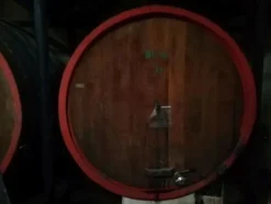 1#3966 Attrezzature e macchinari di cantina vitivinicola