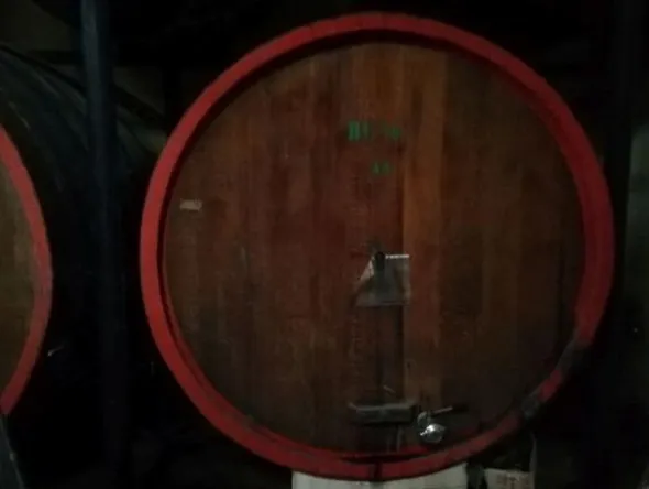 1#3966 Attrezzature e macchinari di cantina vitivinicola