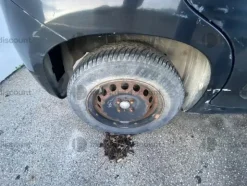 4#9773 Autovettura Fiat Panda