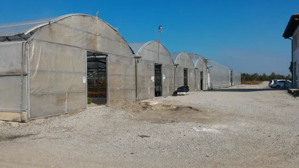 azienda floricola