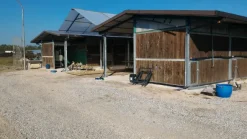 azienda floricola