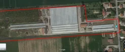 azienda floricola