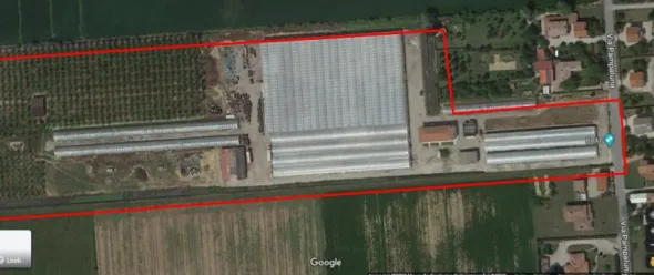 azienda floricola
