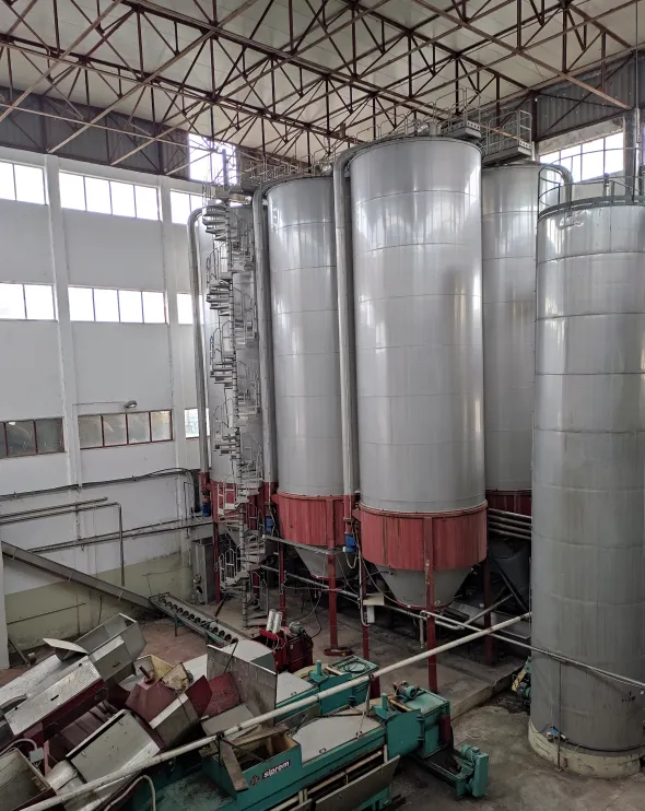 AZIENDA VITIVINICOLA