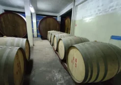 AZIENDA VITIVINICOLA