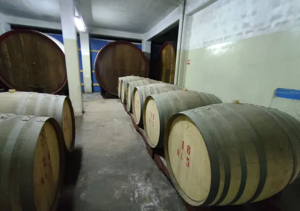 AZIENDA VITIVINICOLA