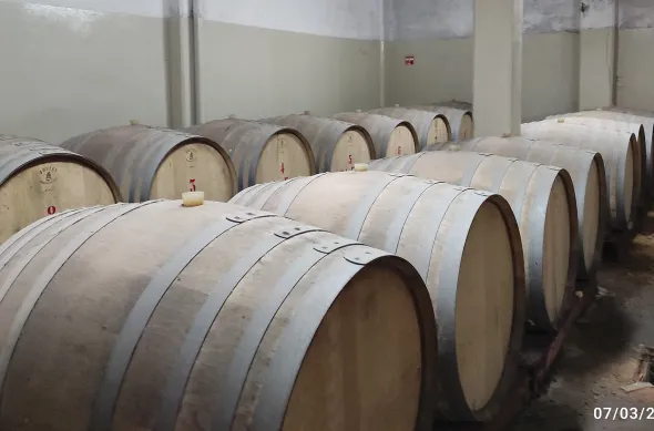 AZIENDA VITIVINICOLA