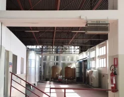 AZIENDA VITIVINICOLA
