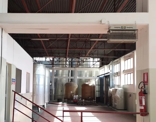 AZIENDA VITIVINICOLA