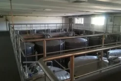 #10800 Azienda vitivinicola con terreni agricoli