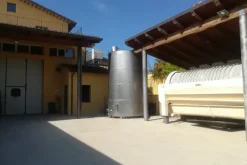 #10800 Azienda vitivinicola con terreni agricoli