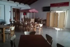 #10800 Azienda vitivinicola con terreni agricoli