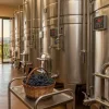 Aziendavitivinicola e agriturismo in vendita