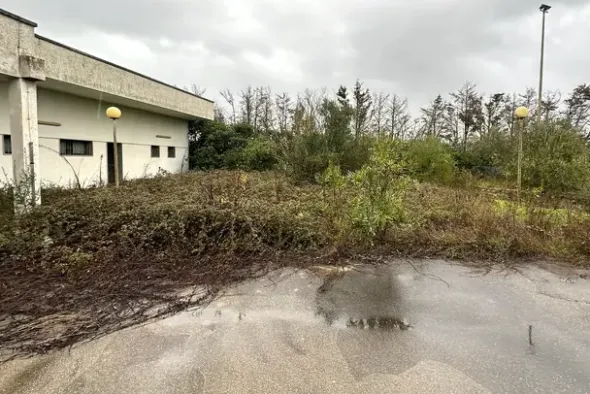 #2638341 Bar-tavola calda con area impianti sportivi