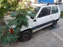 1#12020 Beni mobili registrati, mezzi meccanici per movimentazione dei carichi e blocco arredi