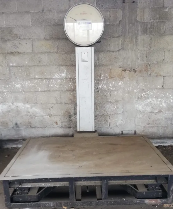 Bilancia Industriale 3.000 kg