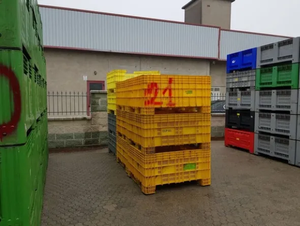 118#5715 Bins e cassoni in legno per frutta e verdura