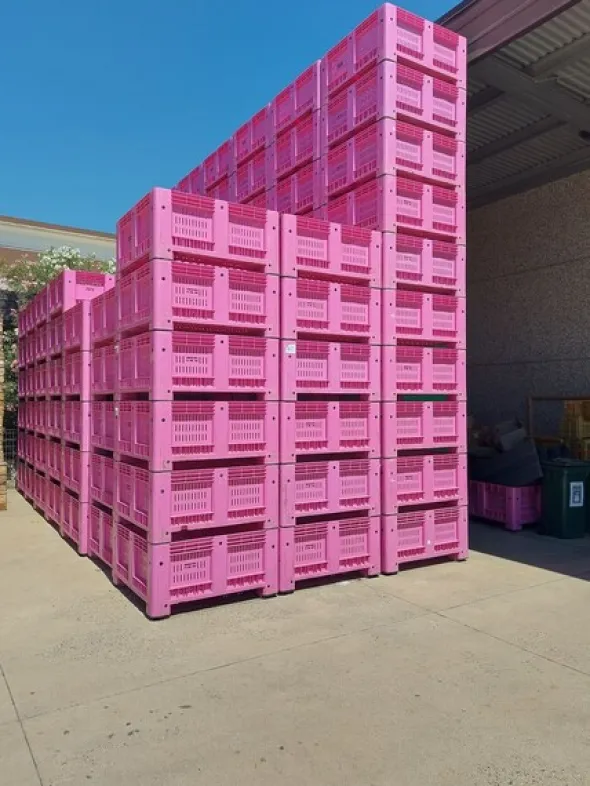 5#8586 Bins for fruit and vegetables