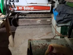3#3935 Bobcat