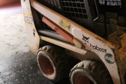 7#5608 Bobcat