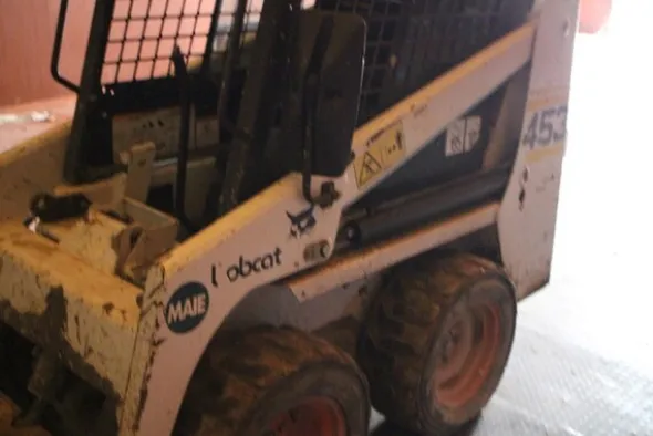 7#5608 Bobcat