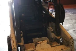 7#5608 Bobcat