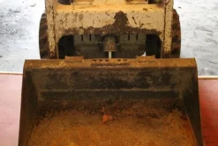 7#5608 Bobcat