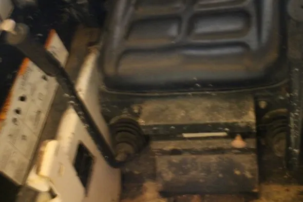 7#5608 Bobcat