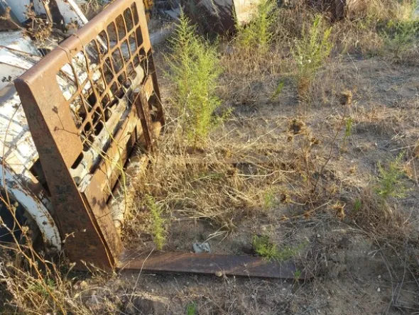 18#7937 Bobcat