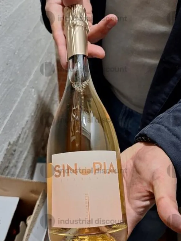 2#10085 Bottiglie di vino