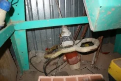 4#6992 Box da cantiere e materiale edile