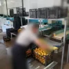 Calibrator for washing and calibrating fruits