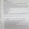 Calibratrice per pesche e ogni tipologia di agrume