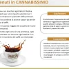 Cannabissimo - Il marchio di Caffè alla canapa