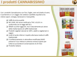 Cannabissimo - Il marchio di Caffè alla canapa