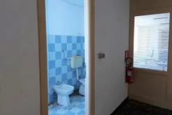 #14752 Capannone artigianale con sala espositiva