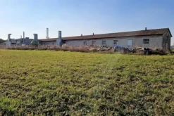 #19958 Capannone artigianale con terreno e attrezzature