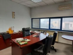 #11872 Capannone artigianale con uffici