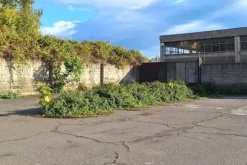 #23288 Capannone commerciale con area edificabile