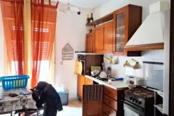 #23288 Capannone commerciale con area edificabile