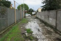 #14735 Capannone commerciale e corte privata