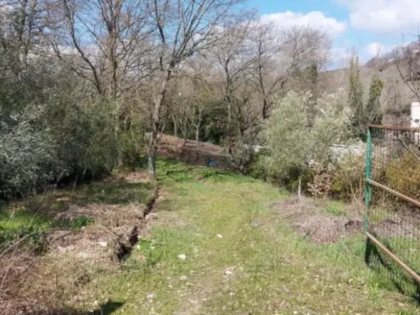 #15972 Capannone con carroponte e area esterna