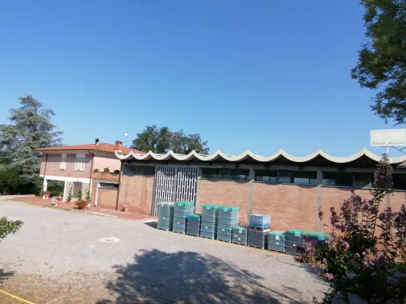 Capannone con casa annessa e ampio piazzale