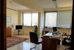 #11089 Capannone con laboratorio, negozio e zona uffici