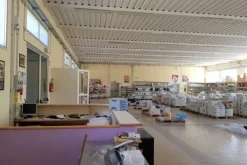#11089 Capannone con laboratorio, negozio e zona uffici