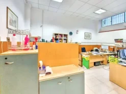 #25123 Capannone con uffici e area pertinenziale