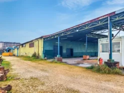 #25123 Capannone con uffici e area pertinenziale