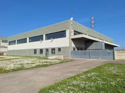 #2638718 Capannone con uffici e corte