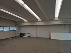 #25734 Capannone con uffici e corte esterna - Proprietà superficiaria