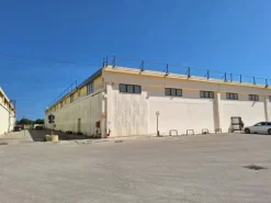 #2537056 Capannone D/8 Commerciale/Logistico